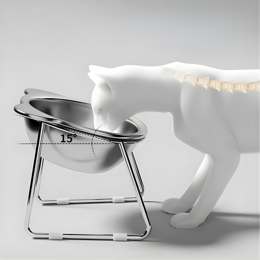 Plato ergonómico elevado ErgoPet para mascotas